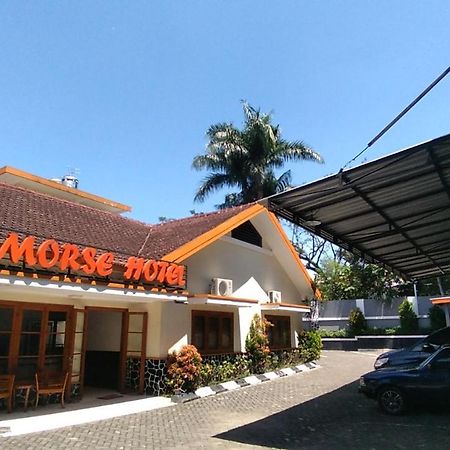 Morse Guest House 말랑 외부 사진